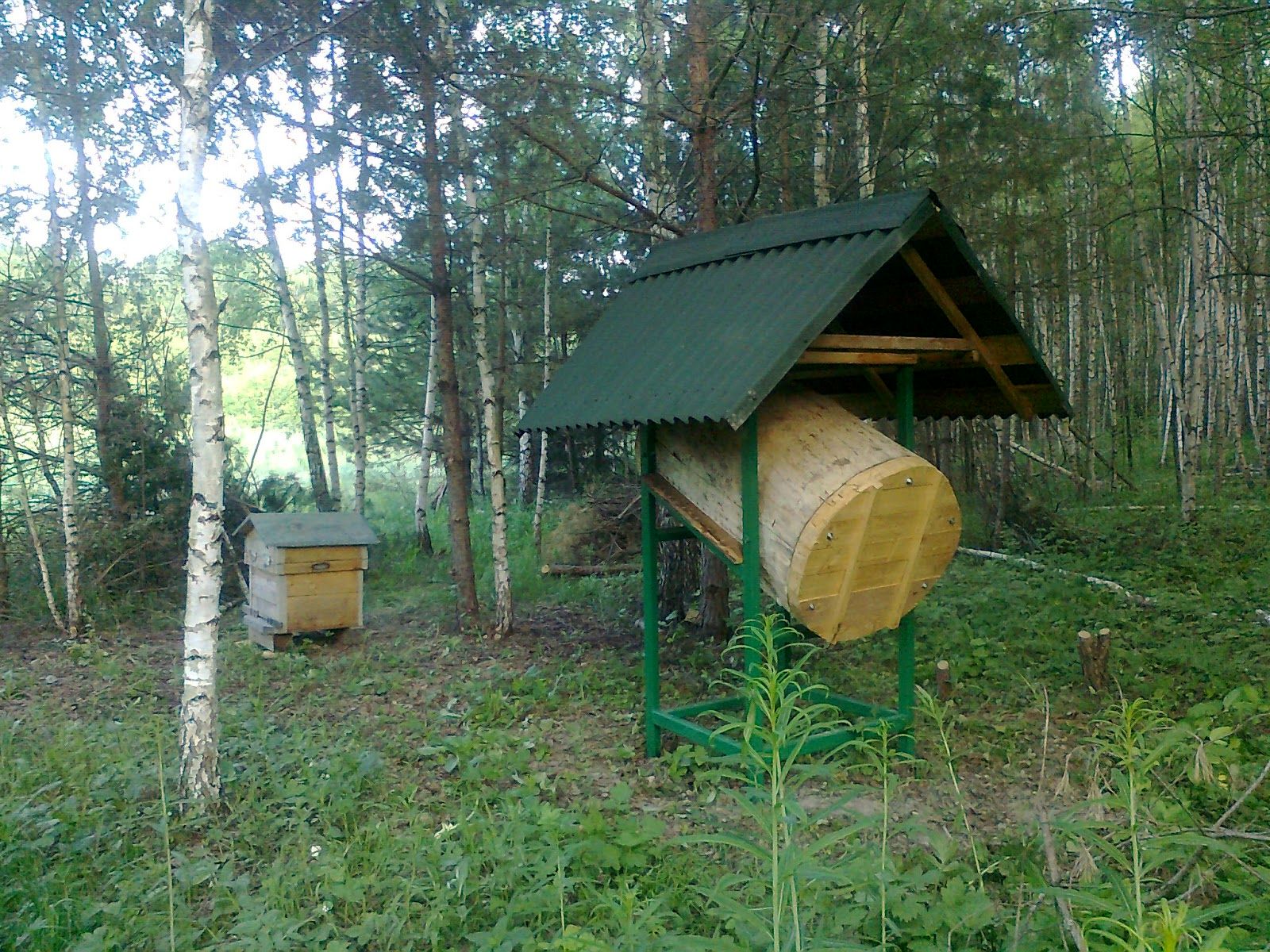 Содержание пчёл в колодах